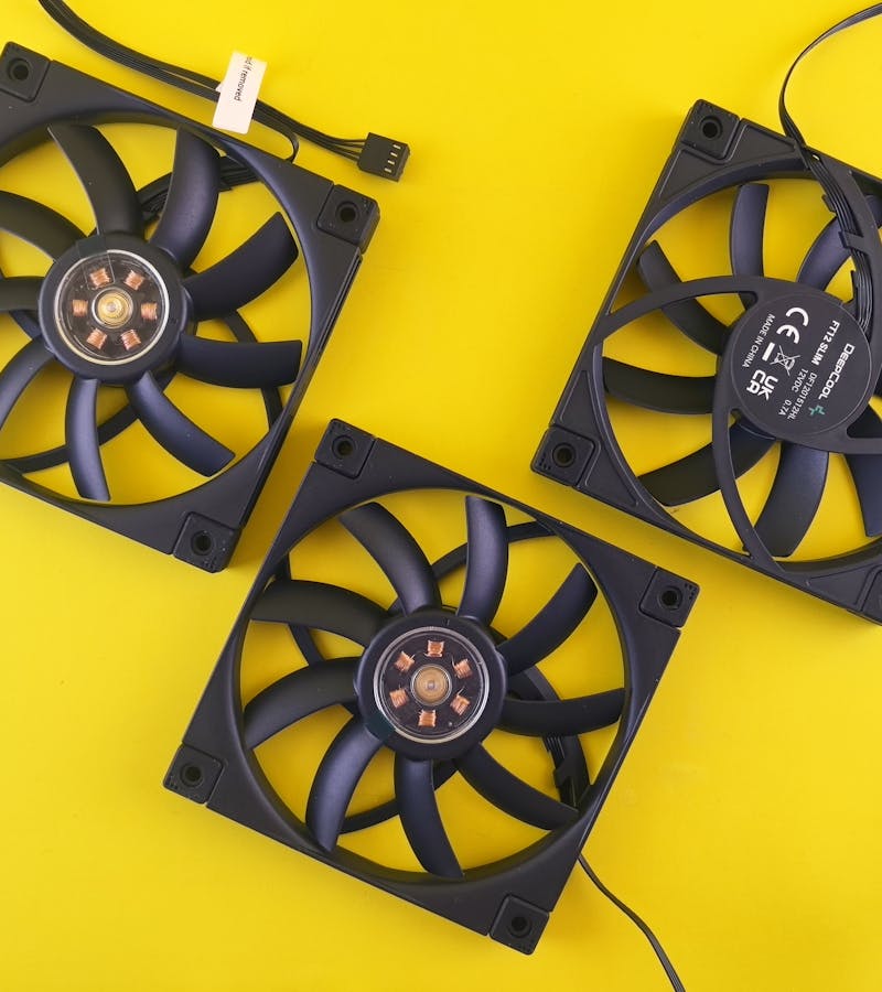 pexels-photo-33547727